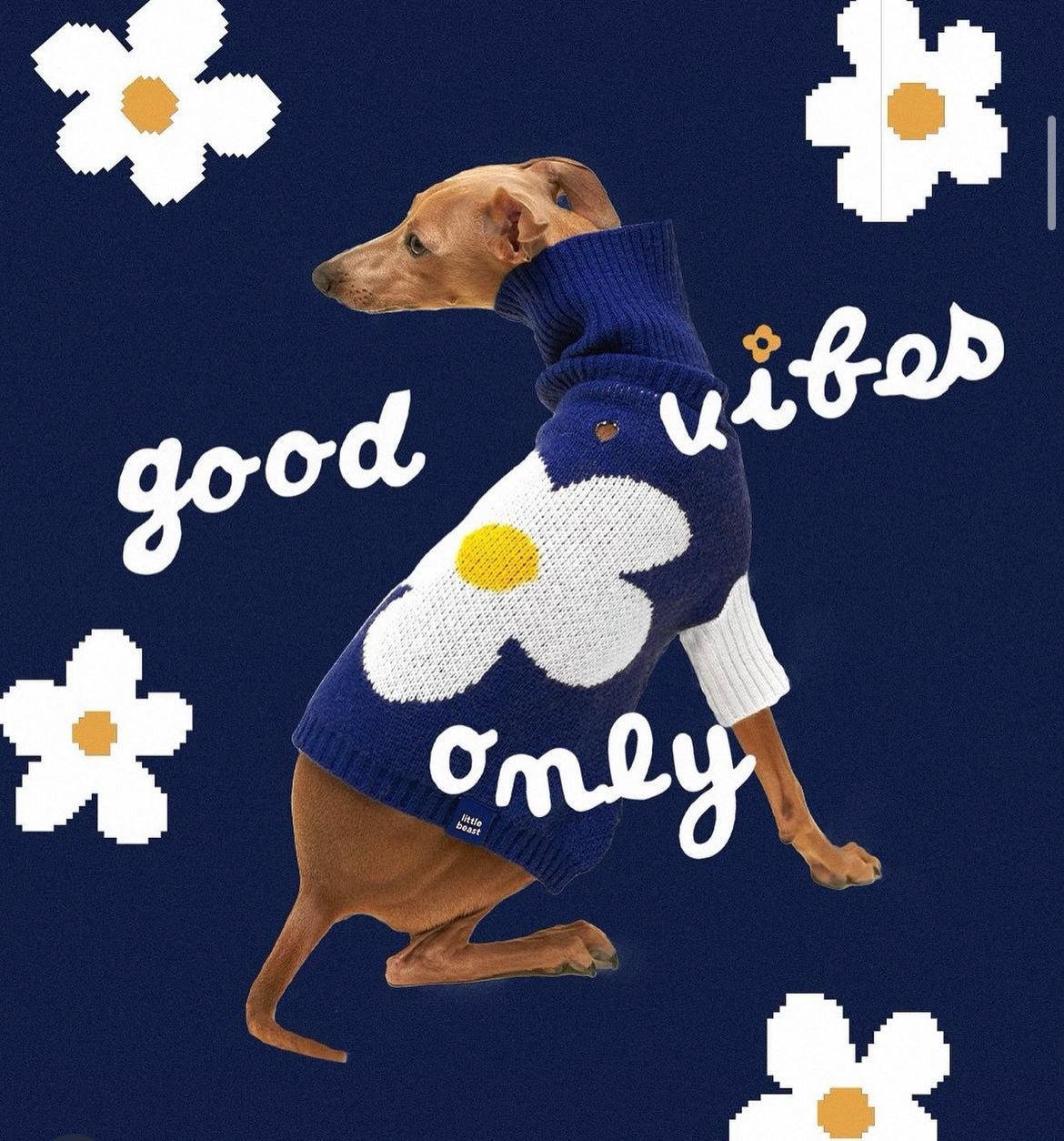 Little Beast Co Little Beast Good Vibes Only Sweater Endless Waves