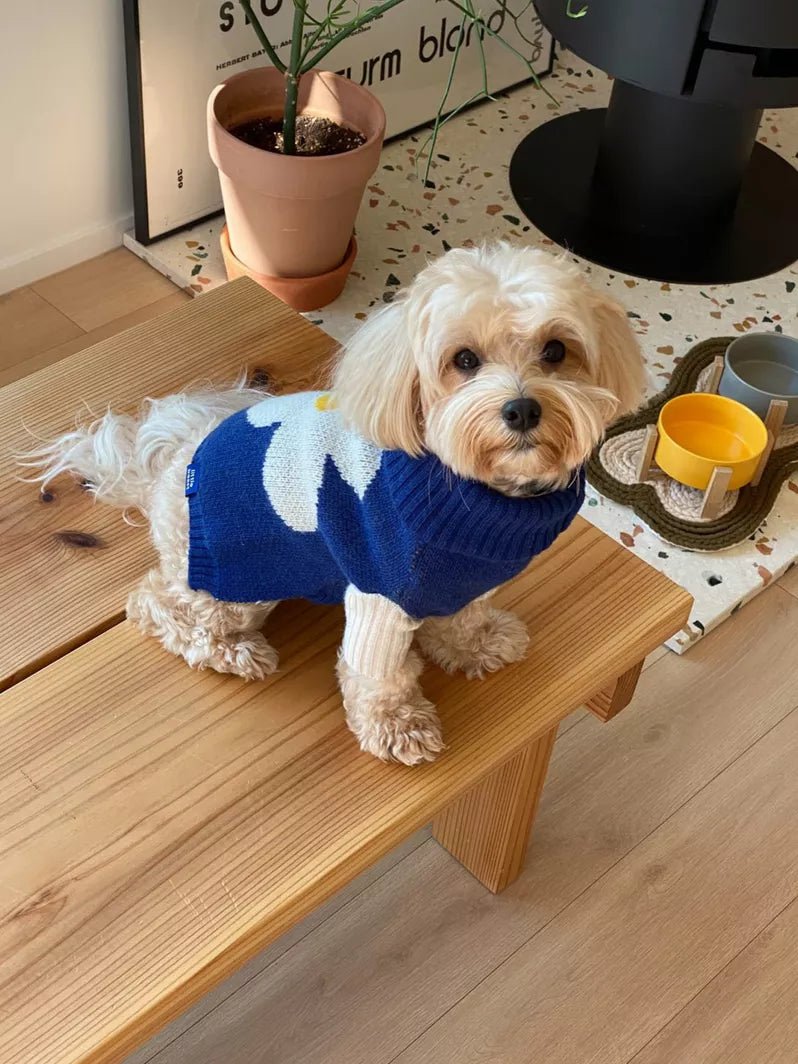 Little Beast Co Little Beast Good Vibes Only Sweater Endless Waves