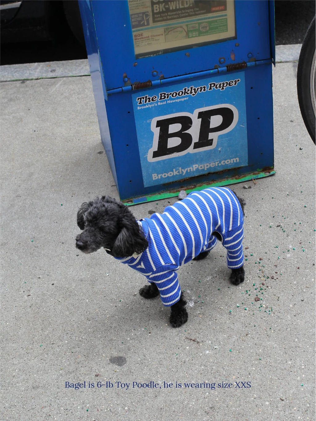 Little Beast Co Little Beast Greek to Me Onesie Endless Waves