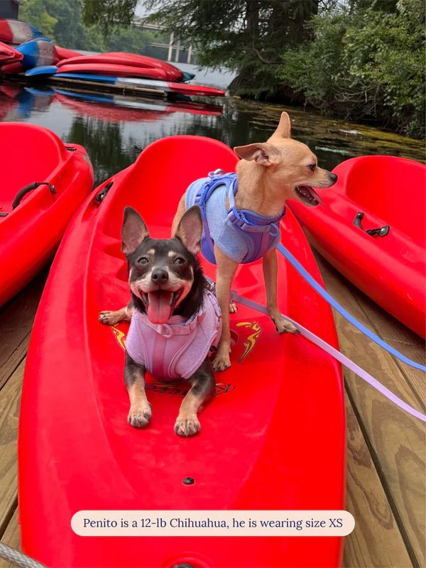 Little Beast Co Little Beast 'Hot Girl Summer' Terry Dog Tank Top Endless Waves
