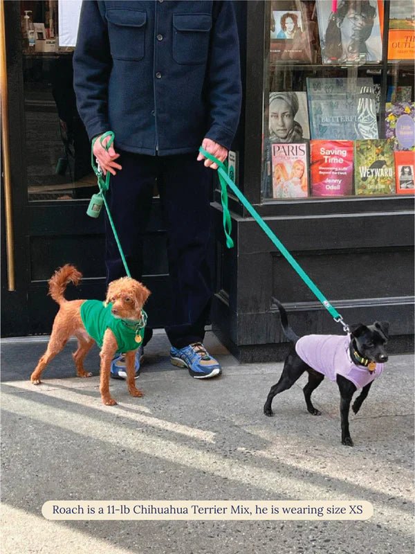 Little Beast Co Little Beast 'Hot Girl Summer' Terry Dog Tank Top Endless Waves