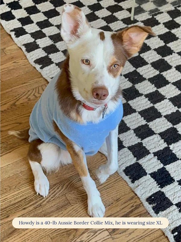 Little Beast Co Little Beast 'Hot Girl Summer' Terry Dog Tank Top Endless Waves