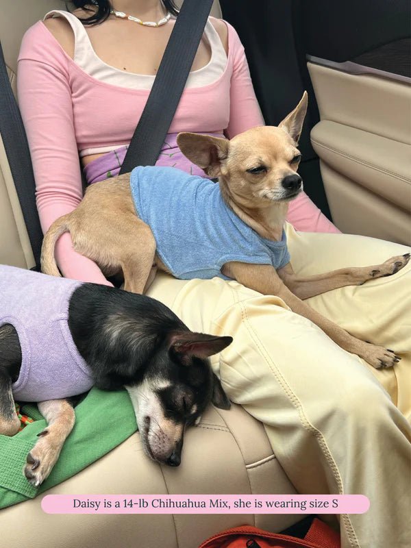 Little Beast Co Little Beast 'Hot Girl Summer' Terry Dog Tank Top Endless Waves