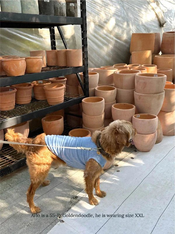 Little Beast Co Little Beast 'Hot Girl Summer' Terry Dog Tank Top Endless Waves