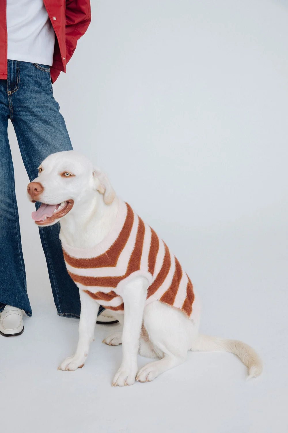 Maxbone Maxbone Fuzzy Pet Jumper Endless Waves