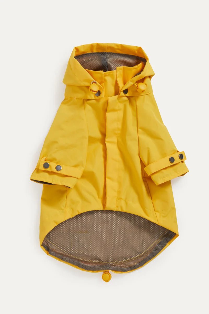 Maxbone Talon Raincoat - Endless Waves