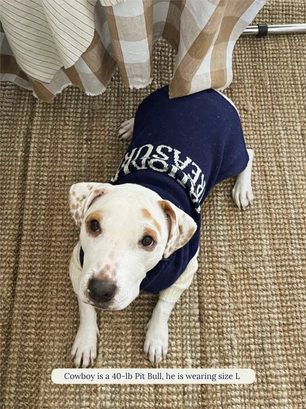 Little Beast Co Little Beast National Treasure Sweater Endless Waves