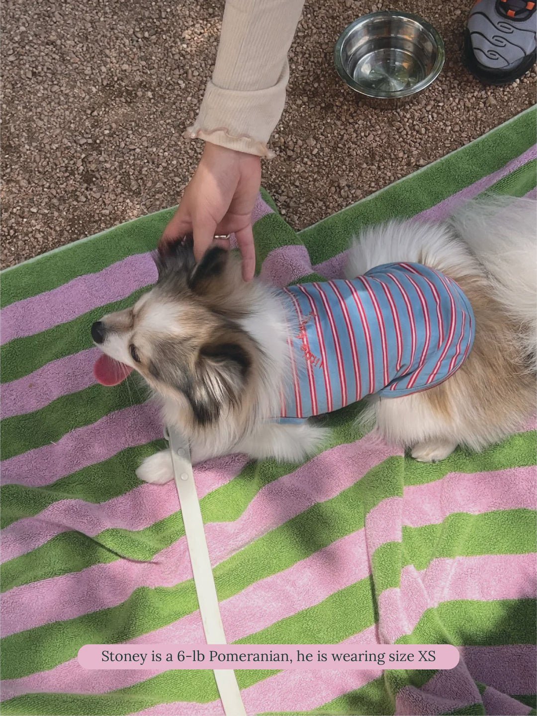 Little Beast Co Little Beast Striped Sleeveless Shirt Endless Waves