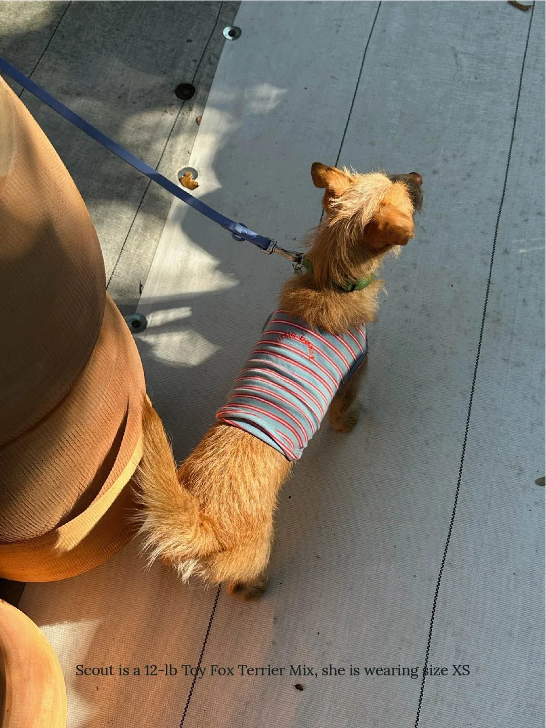 Little Beast Co Little Beast Striped Sleeveless Shirt Endless Waves