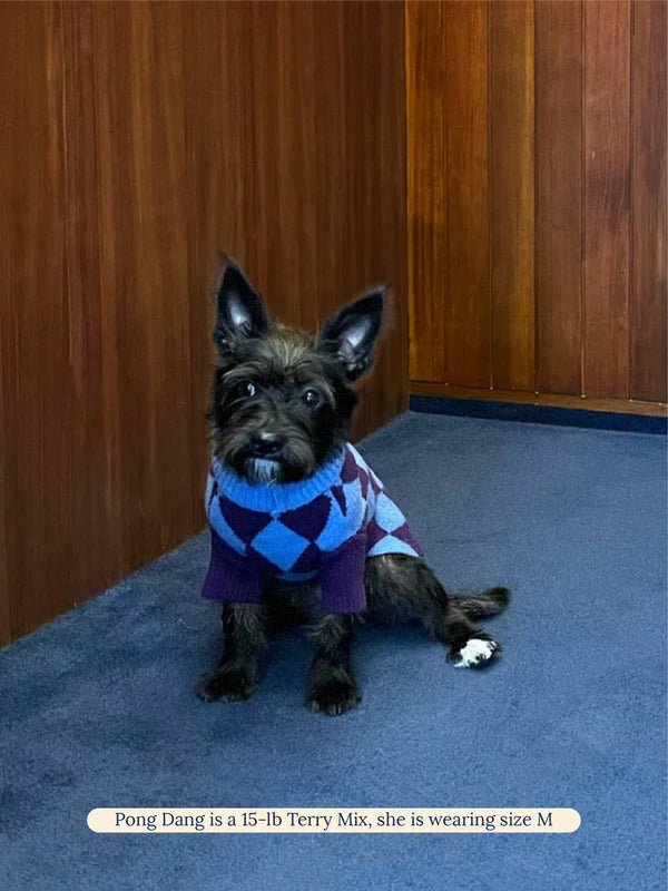 Little Beast Co Little Beast Straight Outta Hamptons Sweater Endless Waves