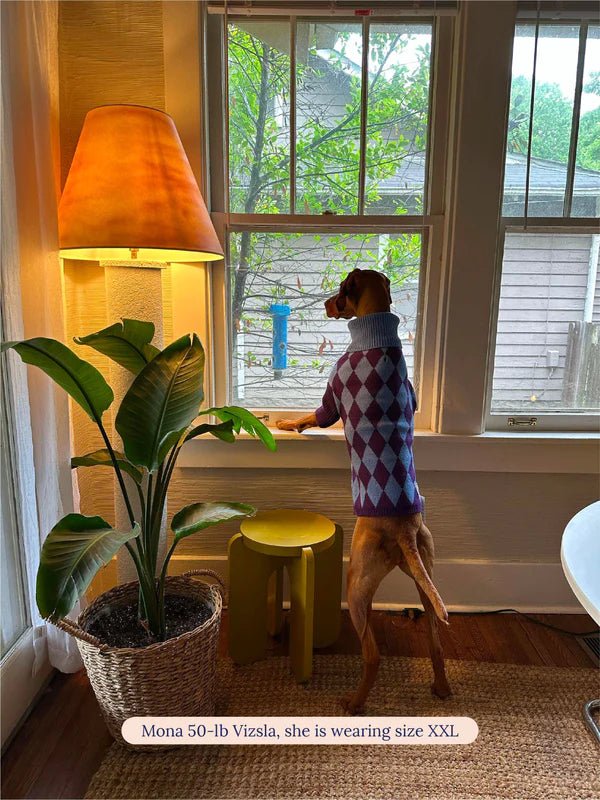 Little Beast Co Little Beast Straight Outta Hamptons Sweater Endless Waves