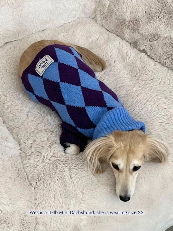 Little Beast Co Little Beast Straight Outta Hamptons Sweater Endless Waves