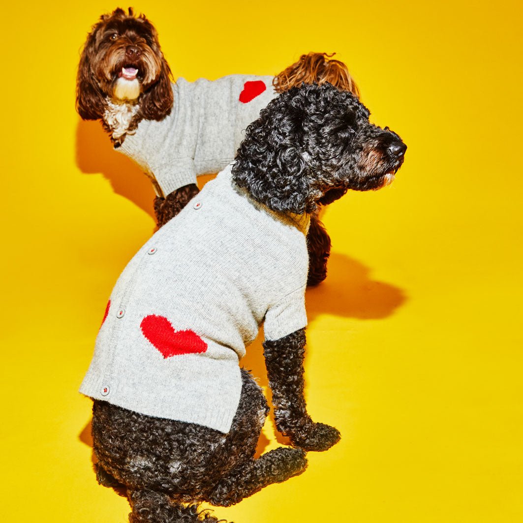 Ware of the Dog Ware of the Dog Heart Cardigan Endless Waves