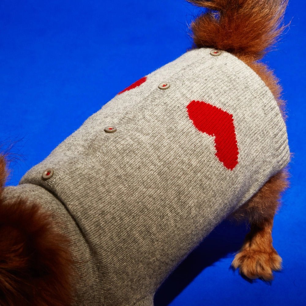 Ware of the Dog Ware of the Dog Heart Cardigan Endless Waves