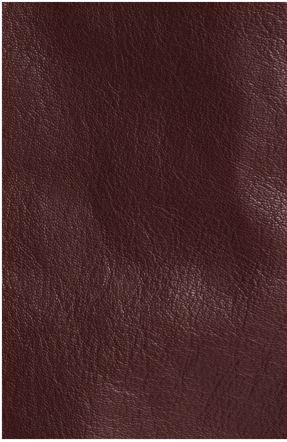 Wax London Kendal Leather Jacket - Endless Waves