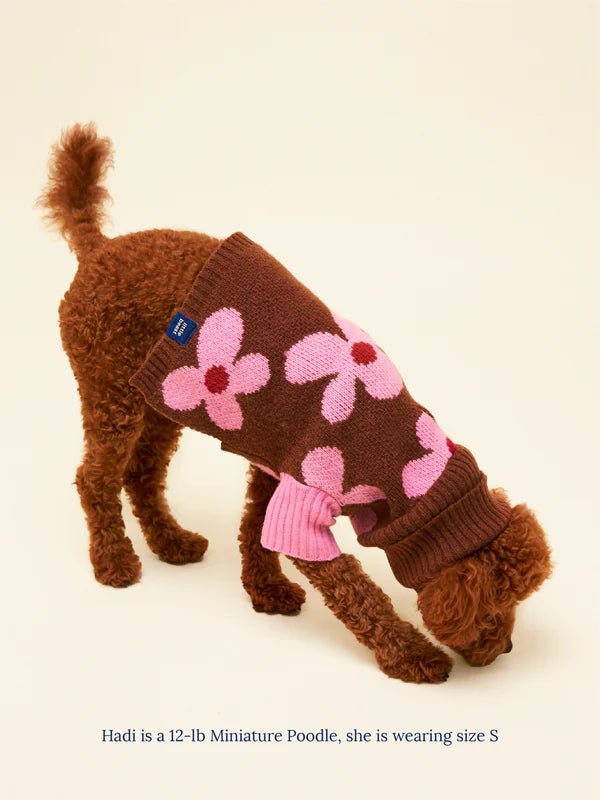 Little Beast Co Little Beast Always Be Kind Pet Sweater Endless Waves