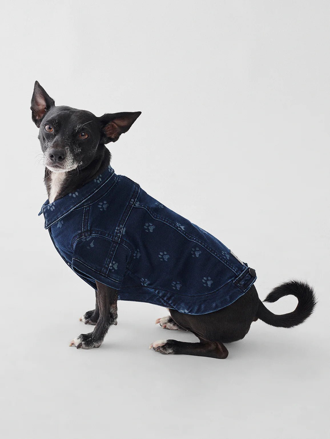 DL1961 DL1961 Canine Denim Trucker Jacket Endless Waves