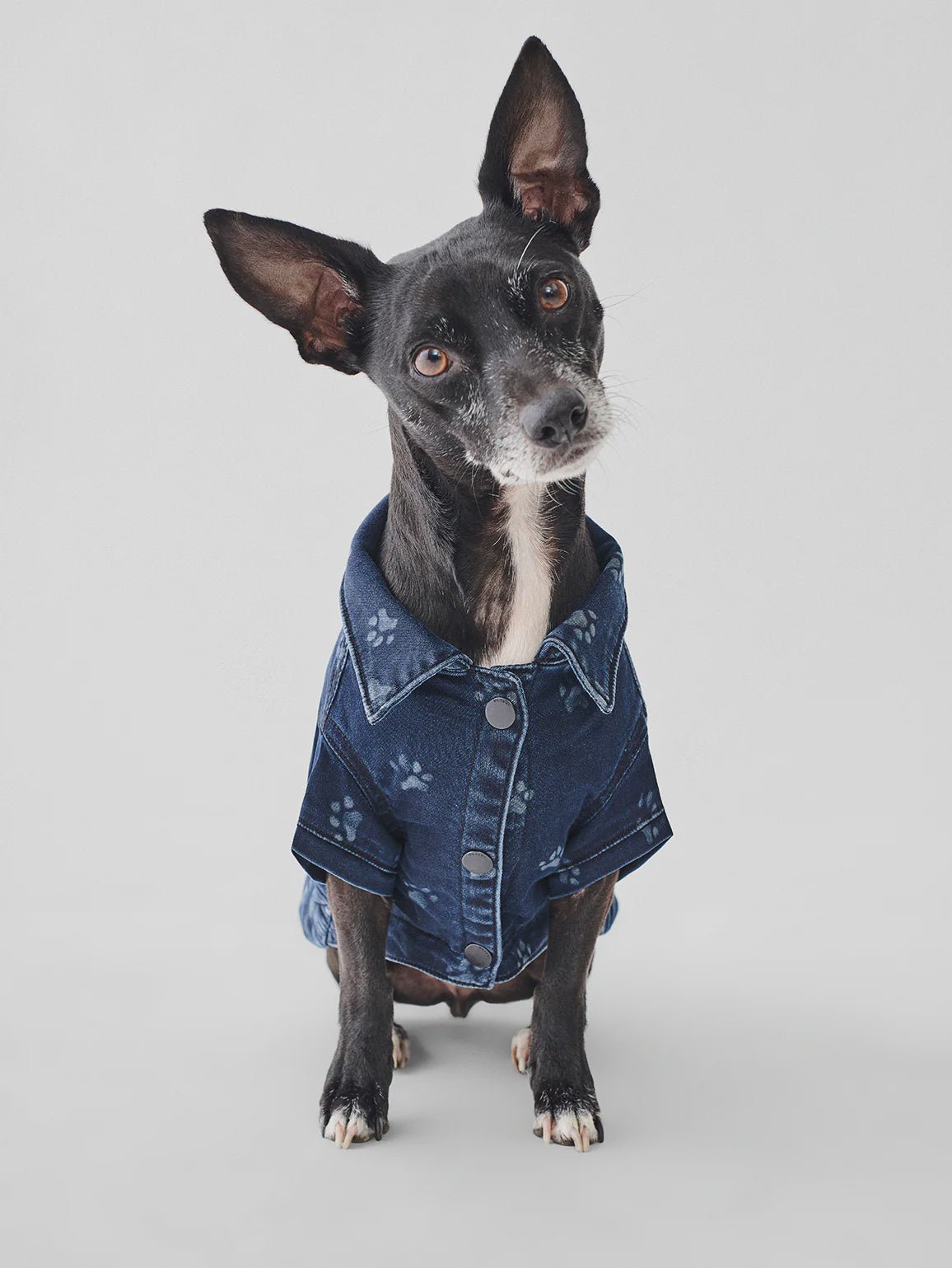 DL1961 DL1961 Canine Denim Trucker Jacket Endless Waves