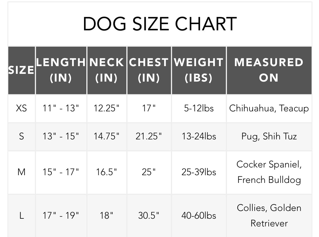 DL1961 DL1961 Canine Denim Trucker Jacket Endless Waves