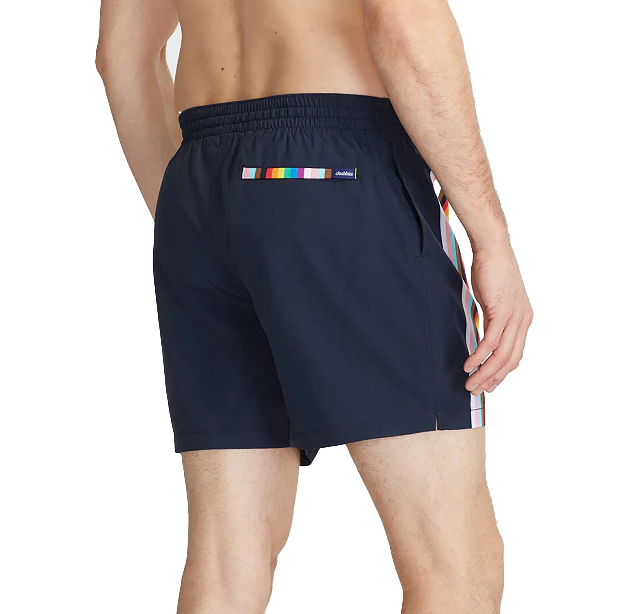 Chubbies Chubbies The Full Spectrums Swim Shorts Endless Waves