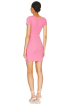 L*SPACE Lani Ruched Mini Dress in Guava - Endless Waves