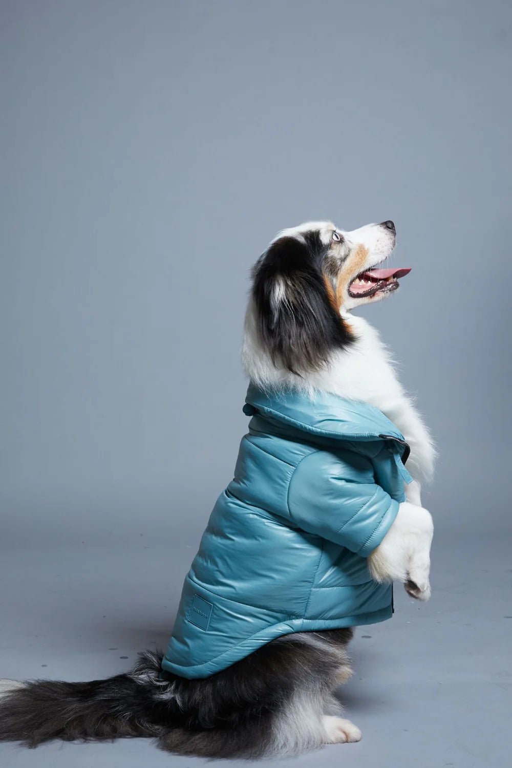 Maxbone Glossy Puffer Jacket - Endless Waves