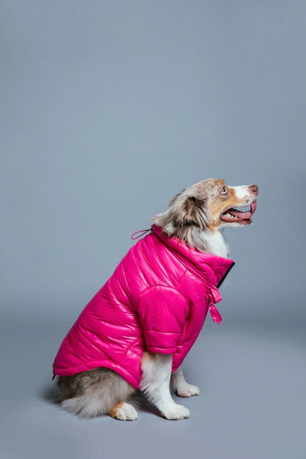 Maxbone Glossy Puffer Jacket - Endless Waves