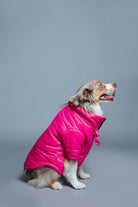 Maxbone Glossy Puffer Jacket - Endless Waves
