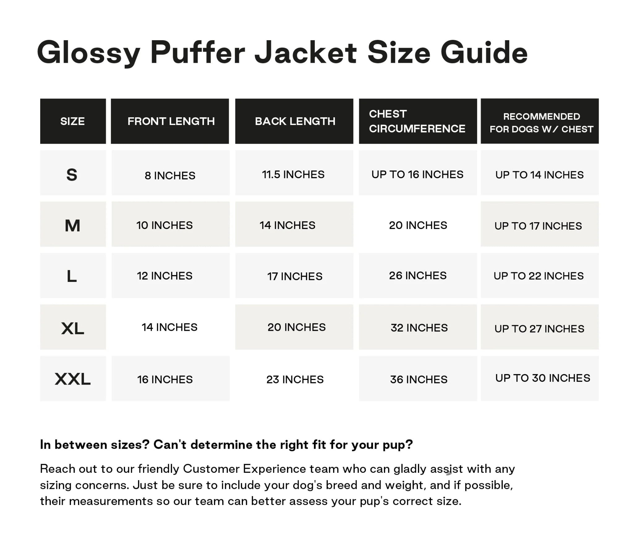 Maxbone Glossy Puffer Jacket - Endless Waves