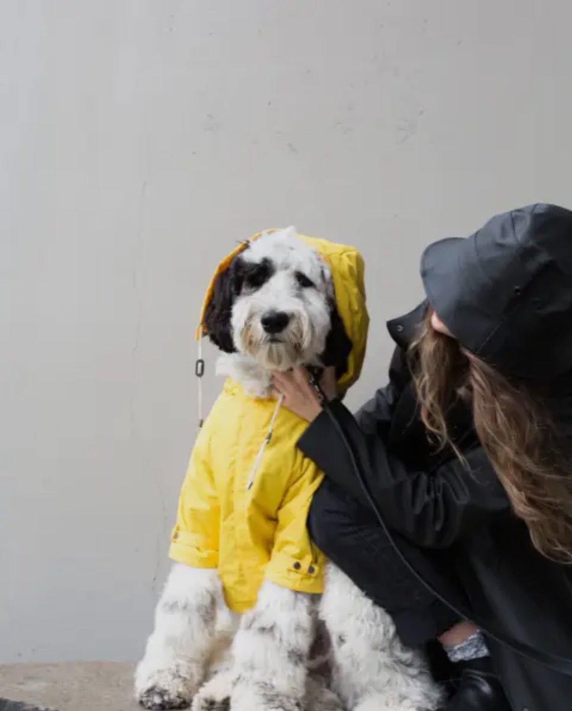 Maxbone Maxbone Talon Pet Raincoat Endless Waves