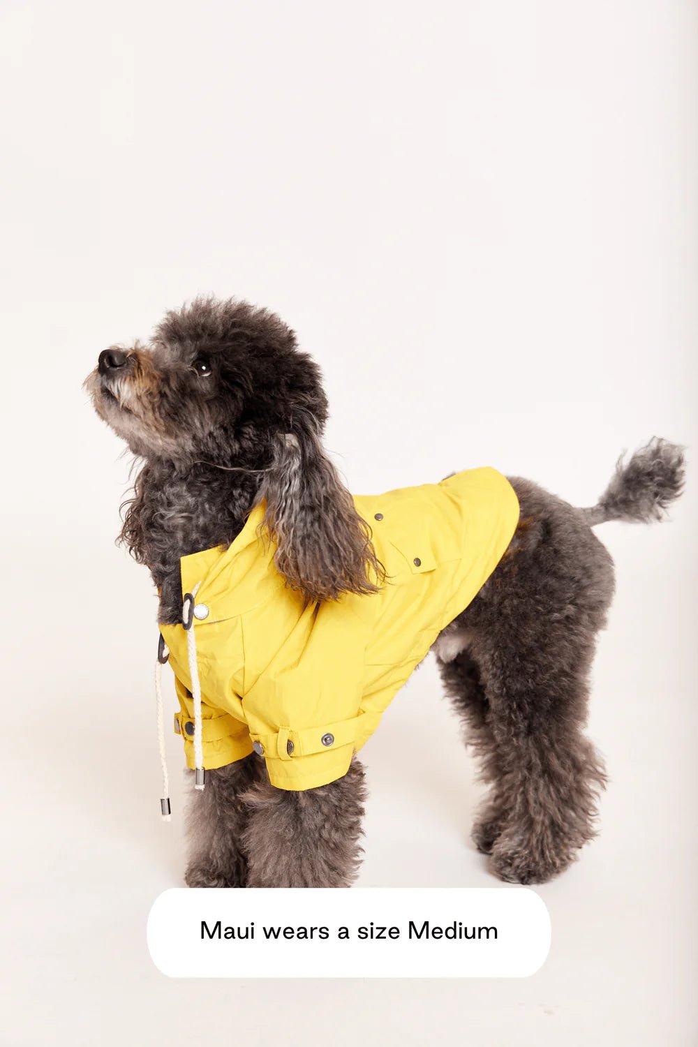 Maxbone Maxbone Talon Pet Raincoat Endless Waves