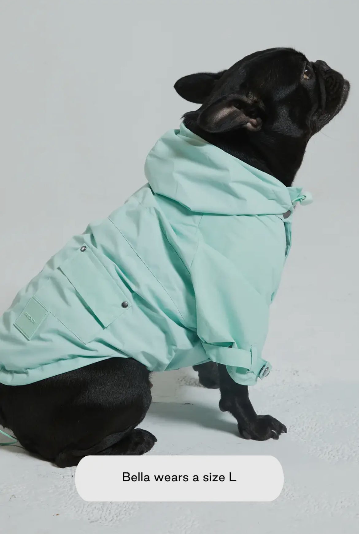 Maxbone Maxbone Talon Pet Raincoat Endless Waves
