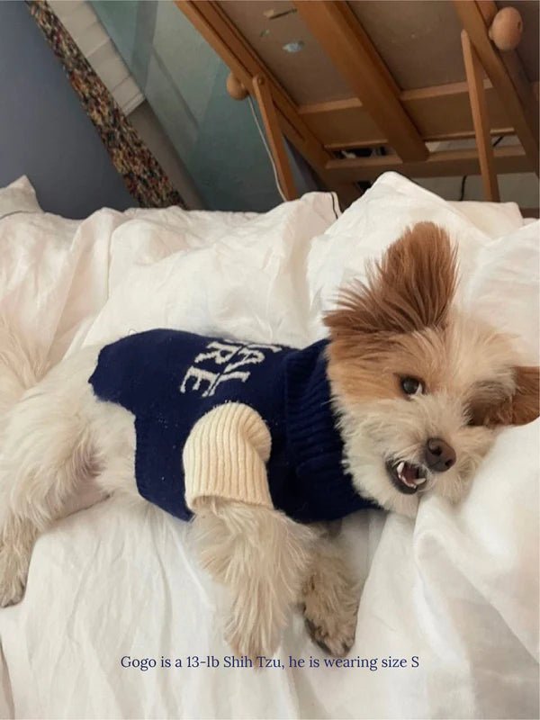 Little Beast Co Little Beast National Treasure Sweater Endless Waves