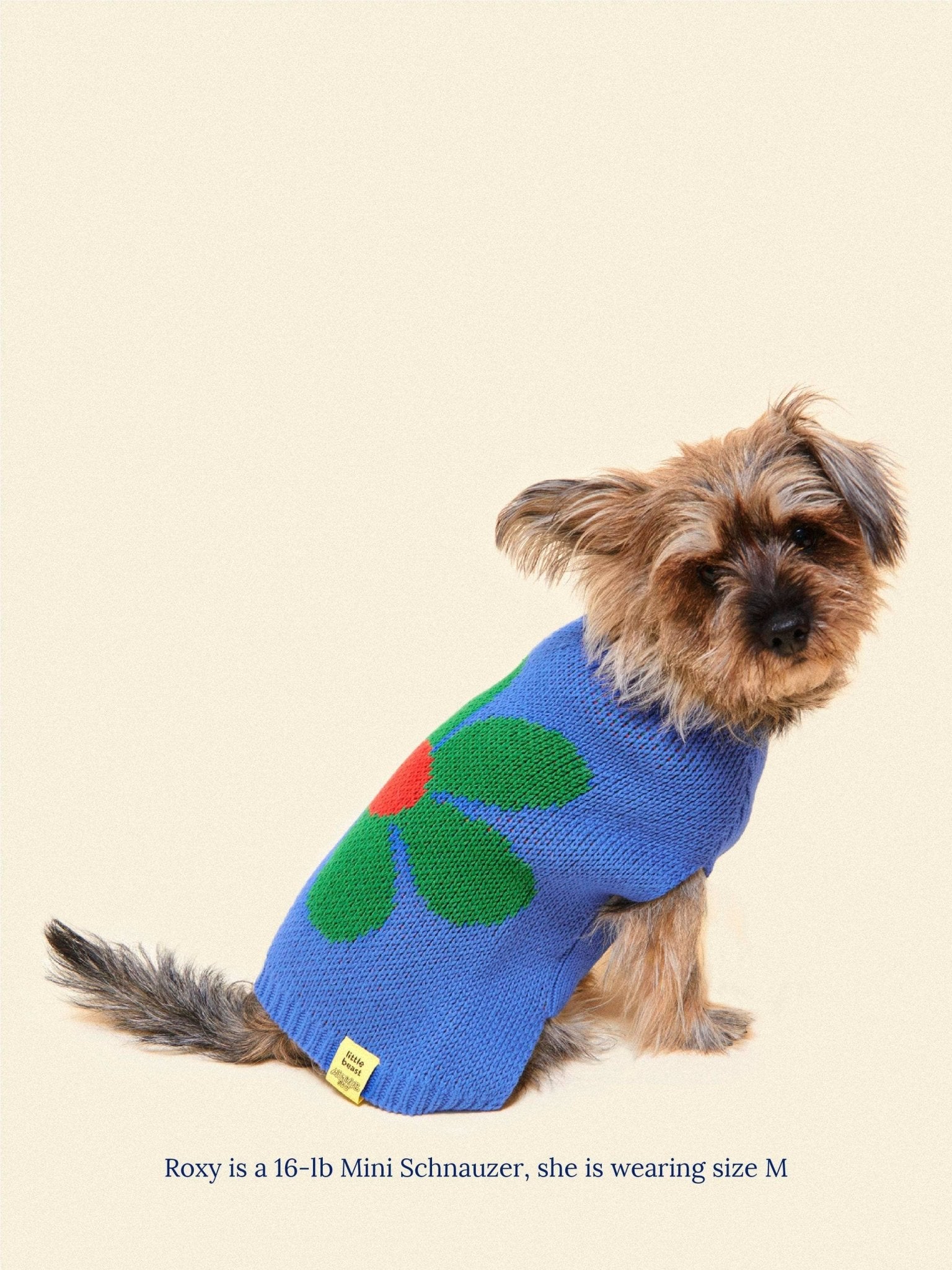 Little Beast Co Little Beast x Memorial Day Painkiller Daisy Pet Sweater Endless Waves