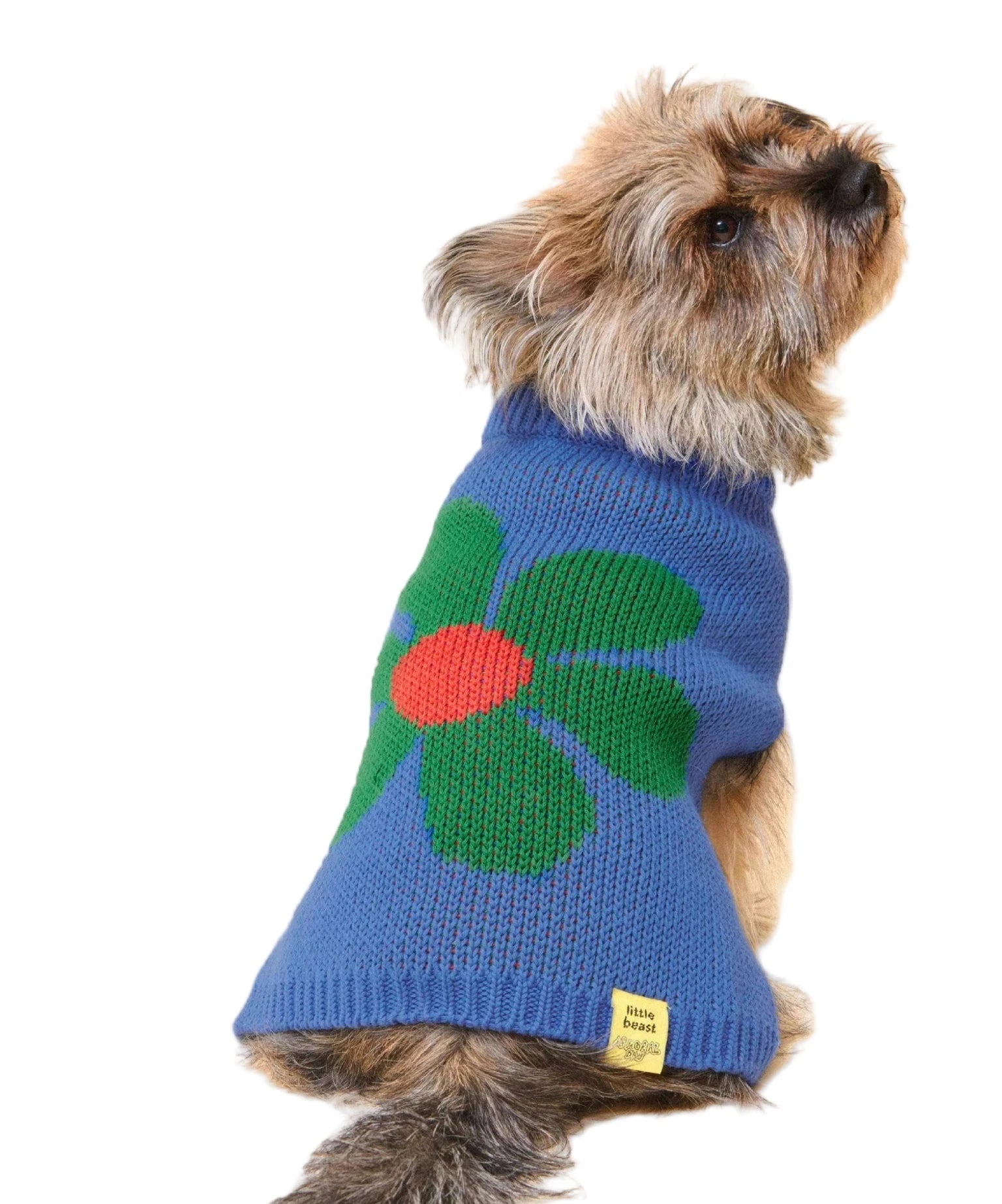 Little Beast Co Little Beast x Memorial Day Painkiller Daisy Pet Sweater Endless Waves