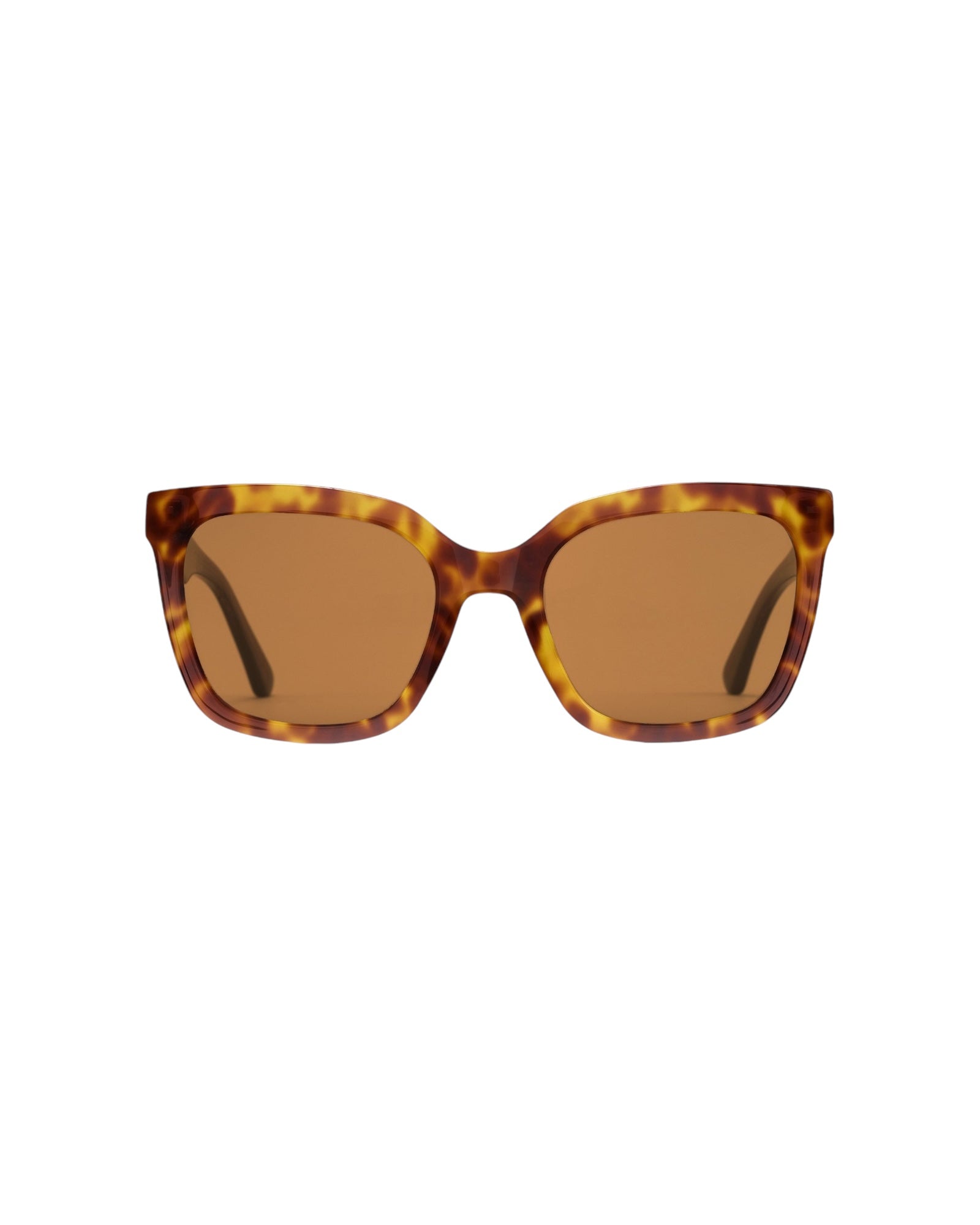 Otis Eyewear REPUTATION Cat Eye Sunglasses Otis Pursuit Cat Eye Sunglasses | Endless Waves main image 4