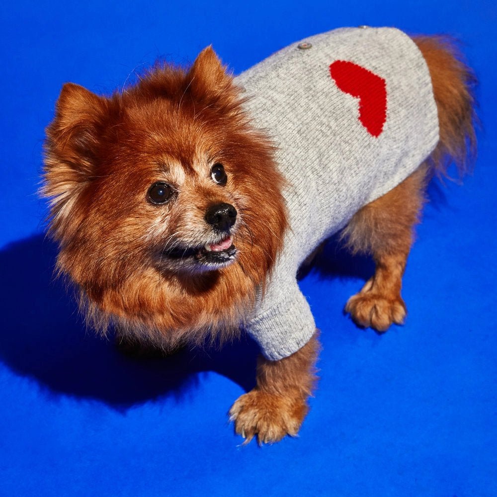 Ware of the Dog Ware of the Dog Heart Cardigan Endless Waves