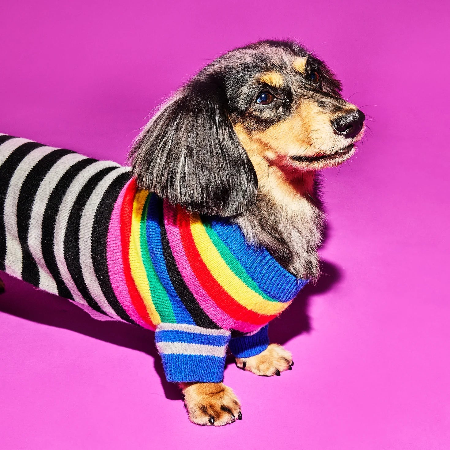 Ware of the Dog Ware of the Dog Mixed Up Stripes Sweater Endless Waves
