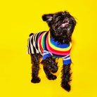 Ware of the Dog Ware of the Dog Mixed Up Stripes Sweater Endless Waves
