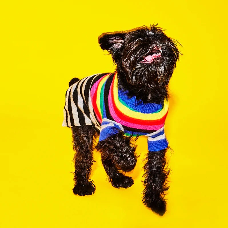 Ware of the Dog Ware of the Dog Mixed Up Stripes Sweater Endless Waves