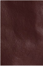 Wax London Kendal Leather Jacket - Endless Waves